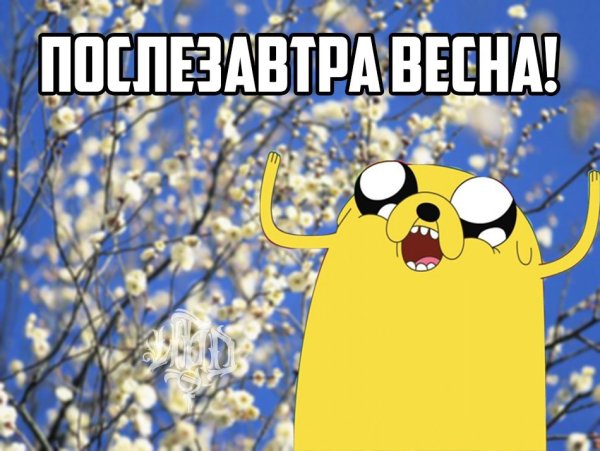 Мем с весной