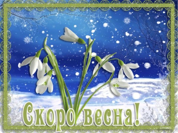 Цветы в снегу