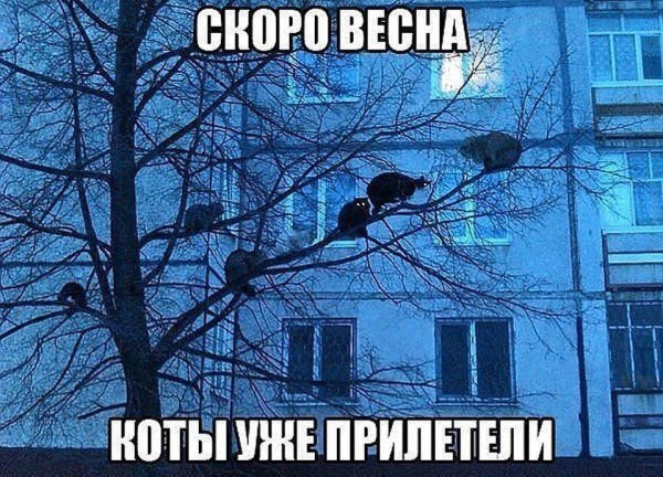 Открытка теплой весны