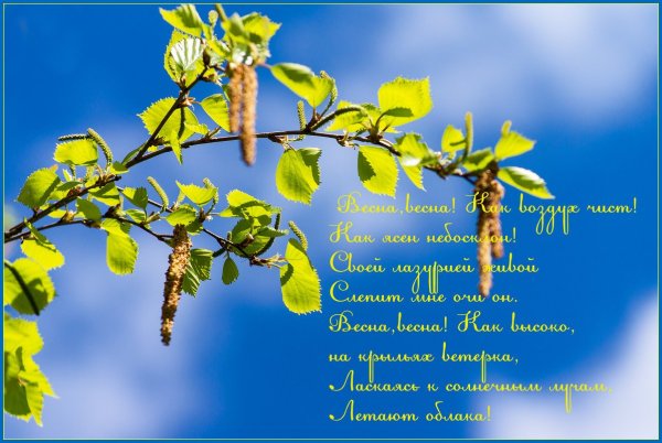 Стихи о весне