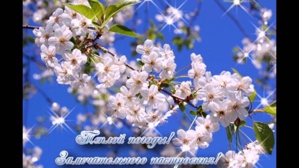 Цветы весенние с добрыми пожеланиями