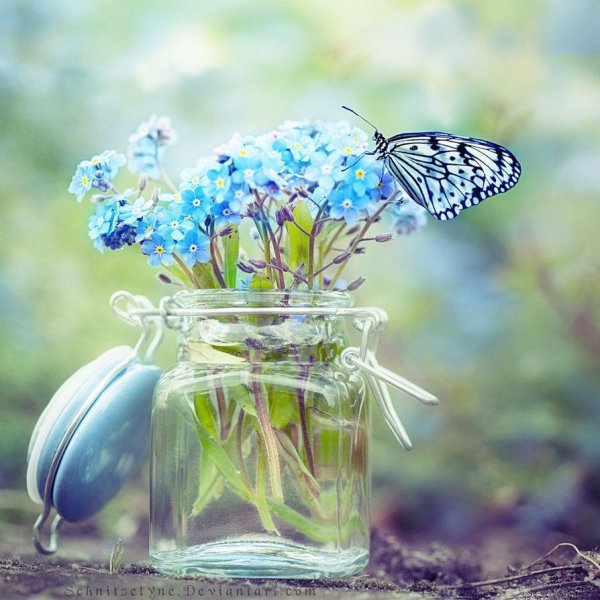 Прекрасные мгновения жизни