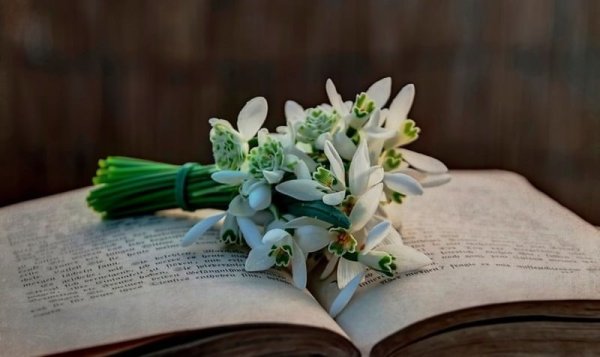 Весенние цветы книжный