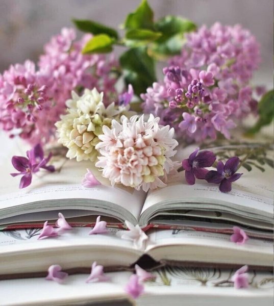 Натюрморт с книгой и цветами