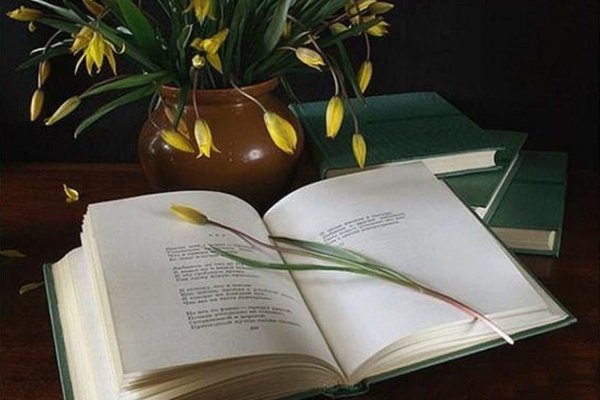 Открытки с книгой и цветами