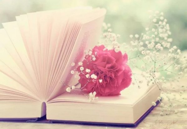 Раскрытая книга с цветами