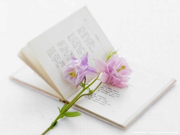 Ноты и цветы