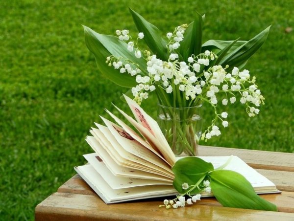 Красивые натюрморты с книгами