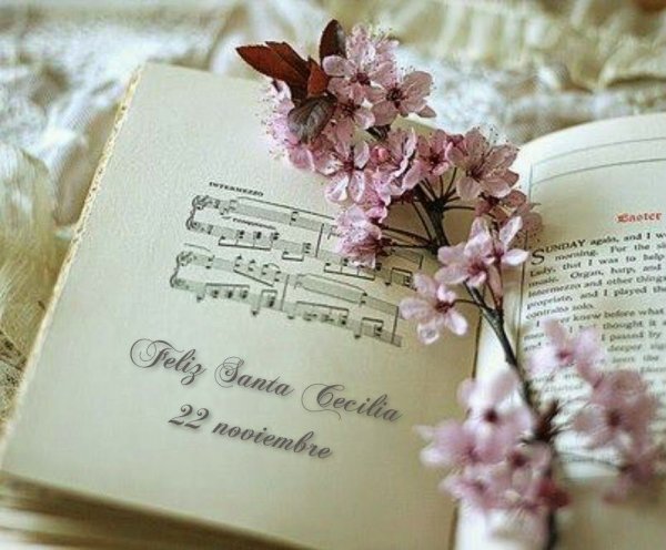 Книга с цветами