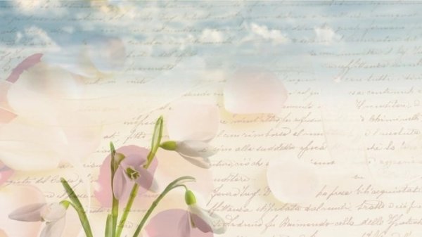 Стихотворения книга