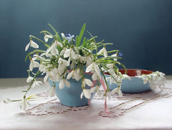 Весенний букет подснежников