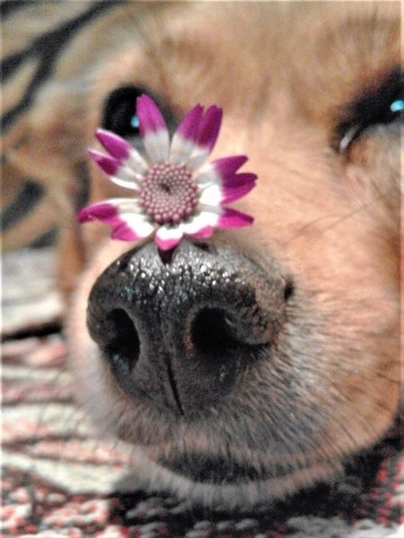 Весенние карикатуры