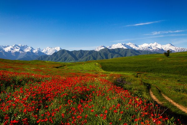 Киргизия горы Тянь-Шань