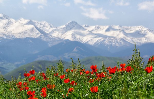 Джамбул горы Алатау