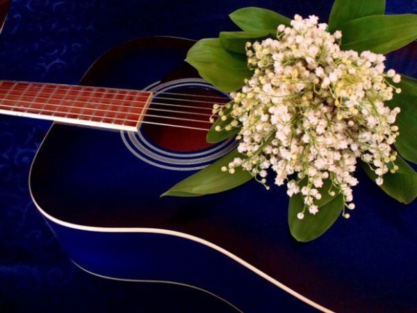 Гитара весной