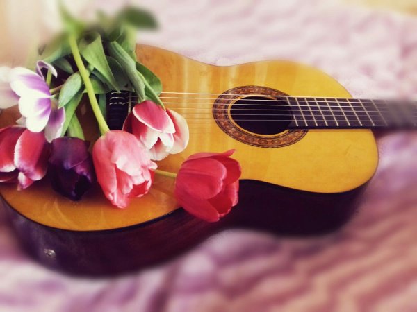 Гитара цветы