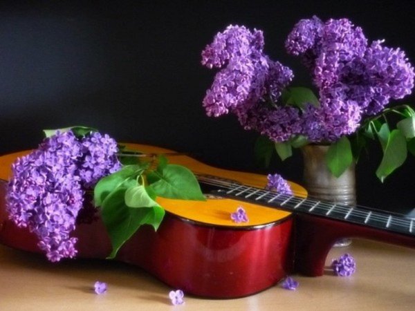 Гитара в цветах