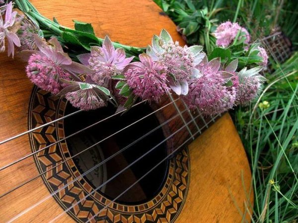 Гитара Весна