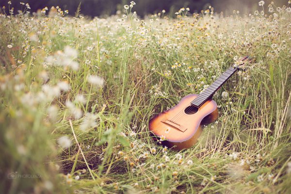 Гитара на природе