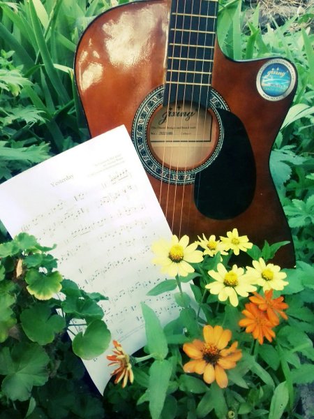 Гитара цветы