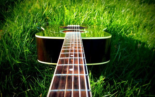 Электрогитара на природе