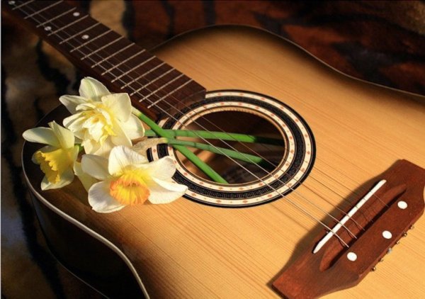 Девушка с гитарой в лесу