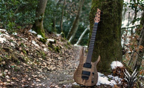 Ларионова Дарья Владимировна гитаристка