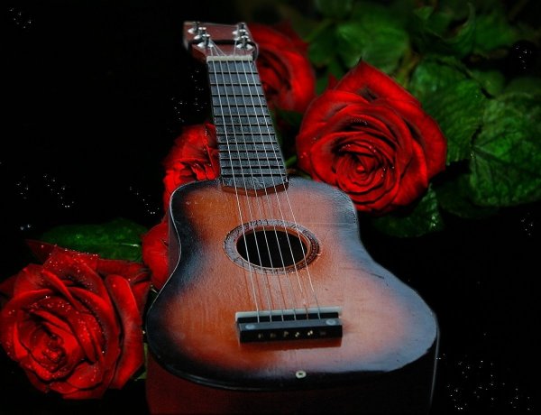 Девушка с гитарой