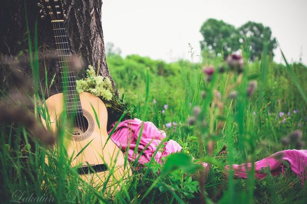 Открытка гитара и цветы