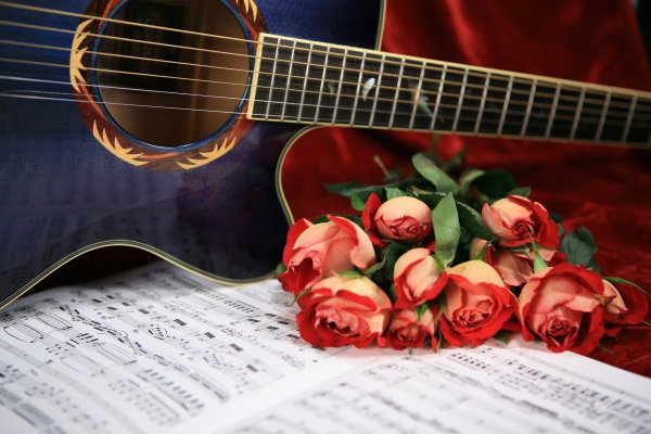 Акустическая гитара в природе