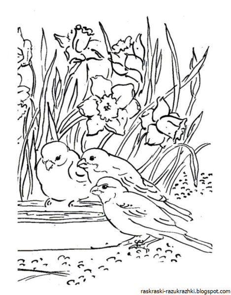 Раскраска Весна для малышей