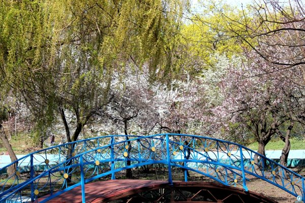 Одесса весной фото