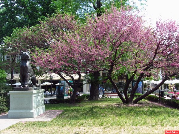 Одесса весной