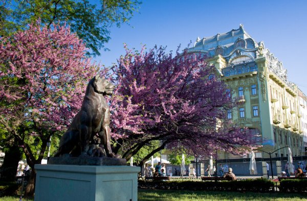 Одесса природа