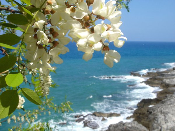 Одесса Весна