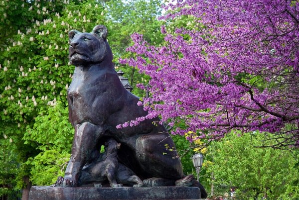 Одесса природа