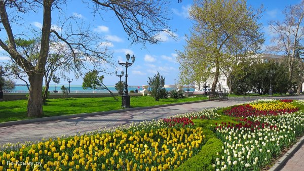 Одесса весной