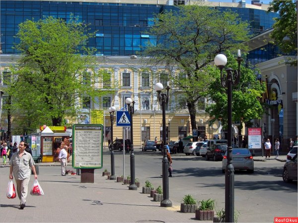 Севастопольская Акация