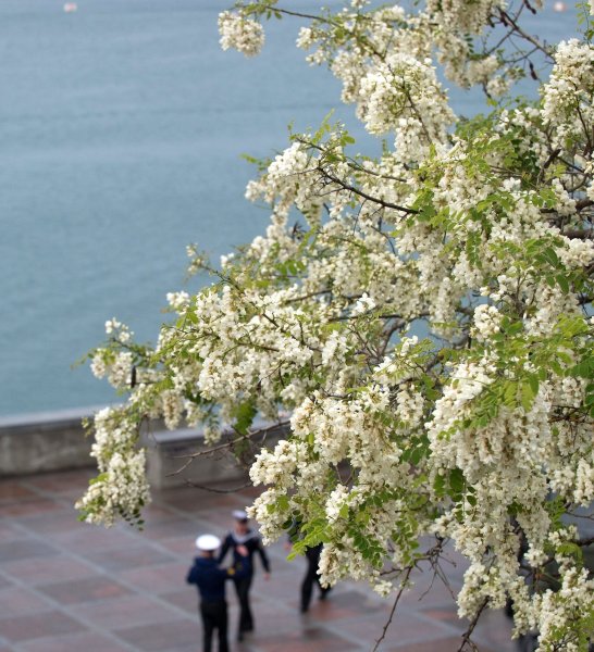 Севастополь. Набережная