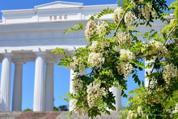 Весна в городе Арбат