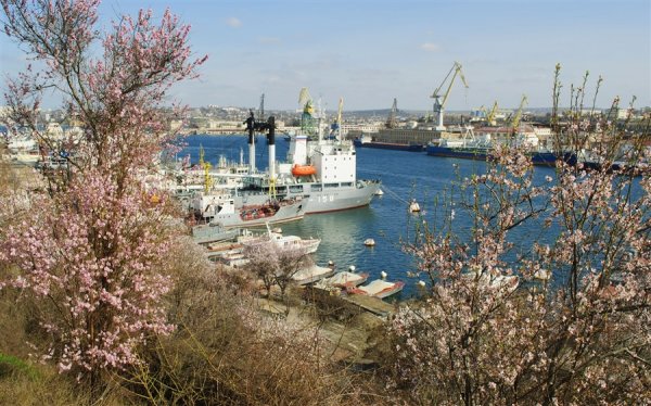 Ростов на Дону Дон природа