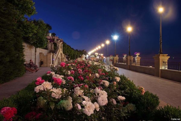 Александровский сад Москва сирень