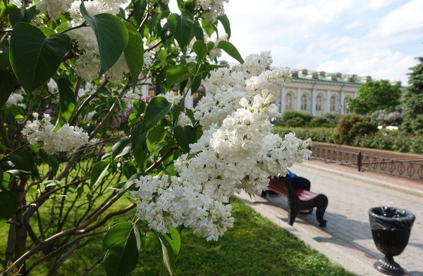 Природа оживает весной