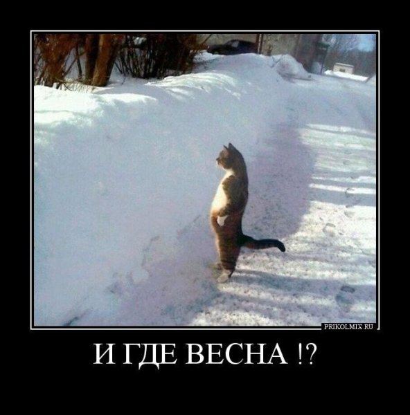 Люди где Весна