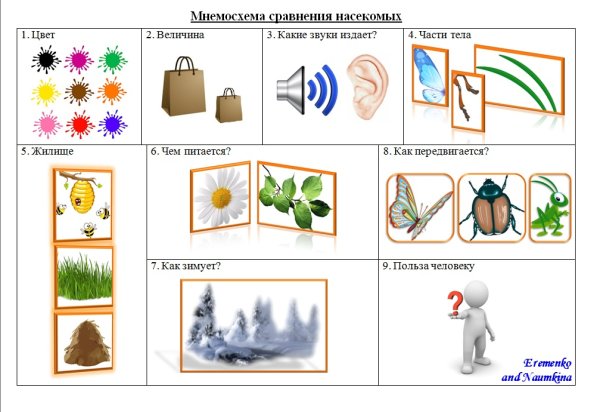 Мнемотаблица на тему насекомые