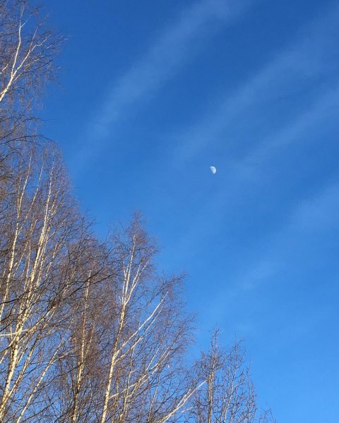 Голубое Весеннее небо