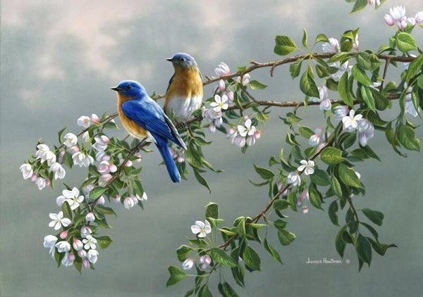 Художник James Hautman