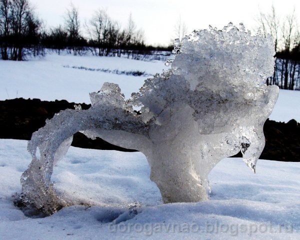 Снежные причуды- конкурс