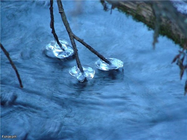 Причуда вода