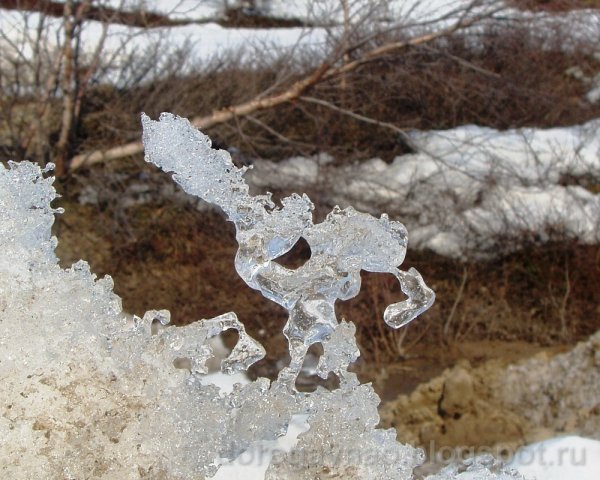 Снежные причуды картинки